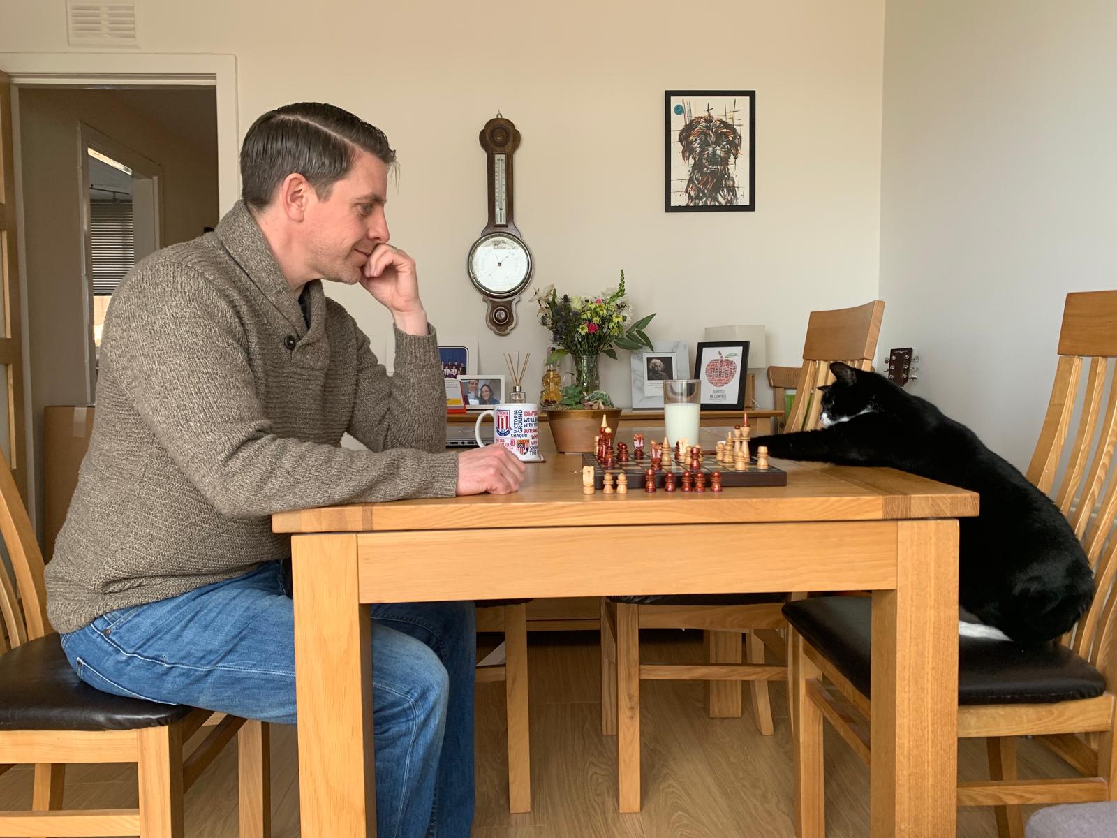 Tom plaing chess with a cat and losing